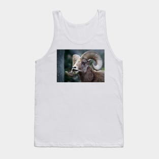 Bighorn sheep. Tank Top